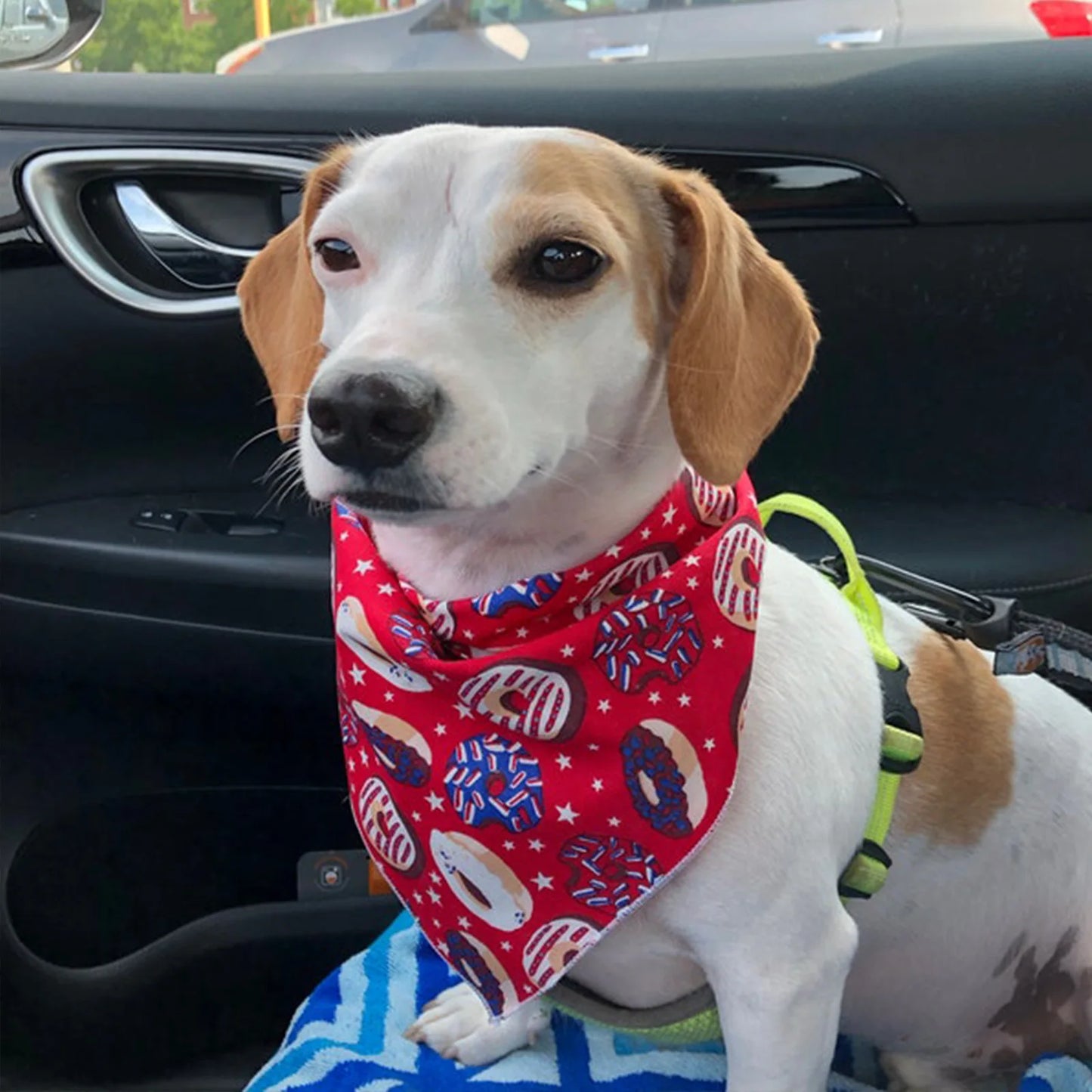 For Dogs Bandana Outdoor Beach Pets Accessories Dog Supplies Perros Accesorios Mascotas Perros Triangular Scarf Fashion Style