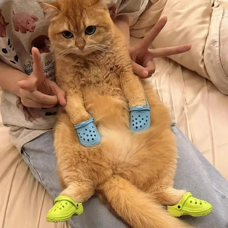 Zapatos con agujeros para perro, zapatillas antideslizantes, resistentes al desgaste, transpirables, a la moda, suministros para